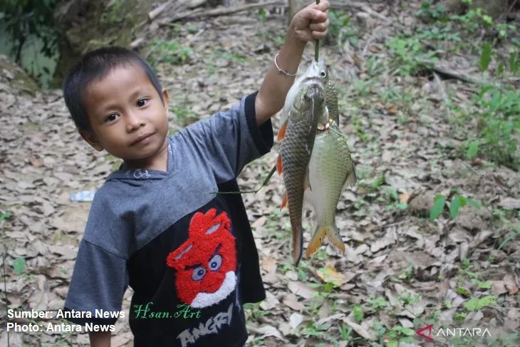 ikan lokal banjarmasin